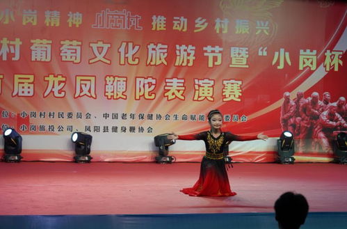 豐收盛宴，文化共融——2024小崗村葡萄文化旅游節(jié)暨首屆龍鳳鞭陀表演賽隆重開幕